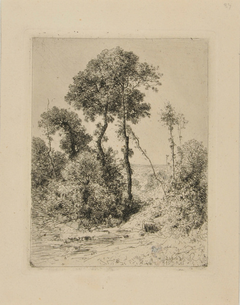 MOTIF OF ELEVATED TREES