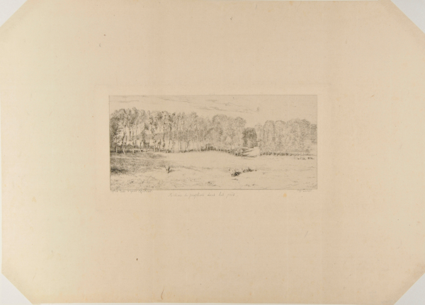 LANDSCAPE WITH ROW OF POPLAR TREES