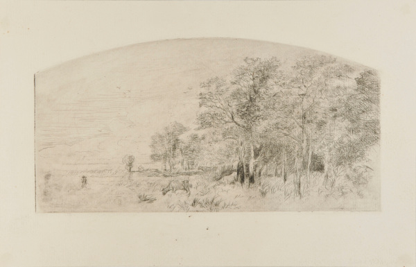 THREE COWS ON THE EDGE OF THE WOODS