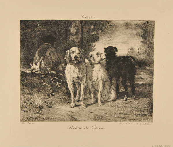 Relais de chiens