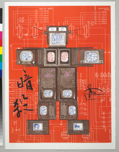 Evolution Revolution Resolution