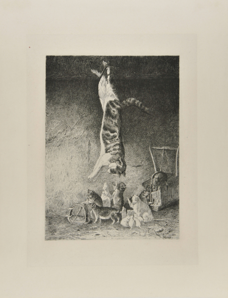 THE CAT FEIGNING DEATH