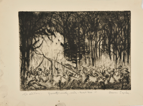 FOREST FIRE, GARRET COUNTY, MARYLAND