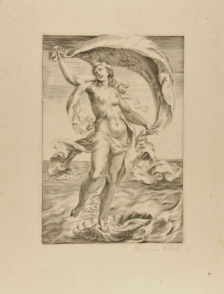 Venus Rising from the Sea