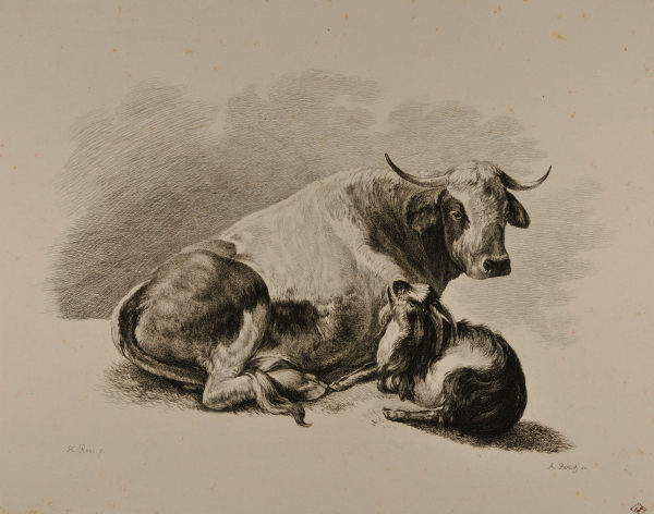 Groupes d'Animaux (Cow and goat)
