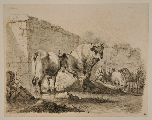 CATTLE BY A BROOK