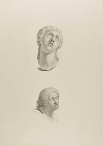 Heads of Niobe and of One of Her Daughters