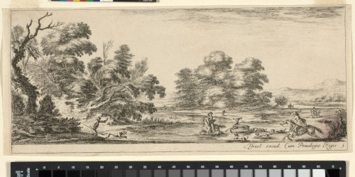 THE DEER HUNT IN THE RIVER