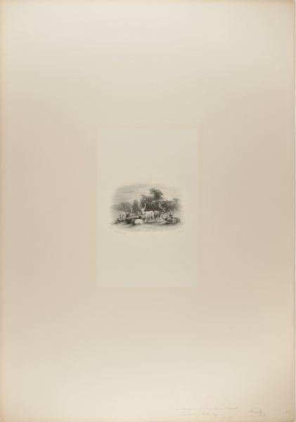 A LODGE IN THE NEW FOREST