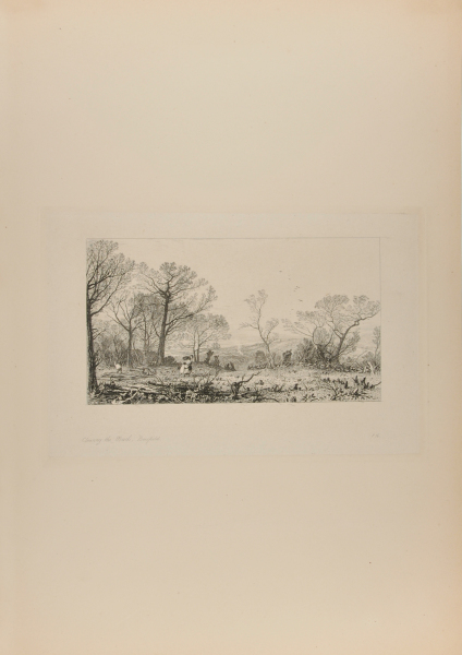 Clearing the Wood, Beesfield