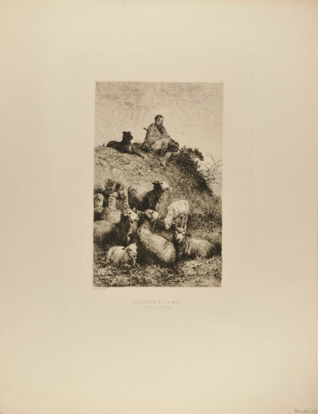 THE SHEPHERD AND THE SEA