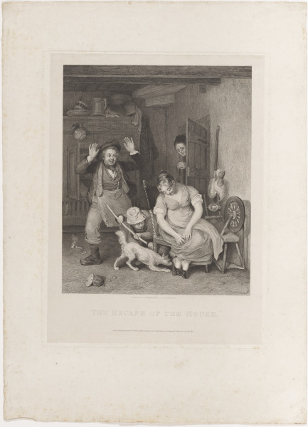 The Escape of the Mouse