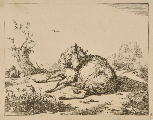 Différents Mountons