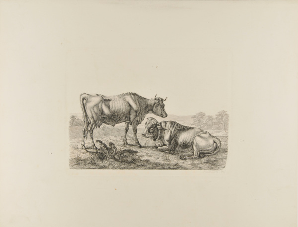 LANDSCAPE WITH A COW AND RESTING STEER