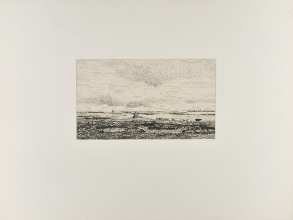 Pond at Lacanau, France