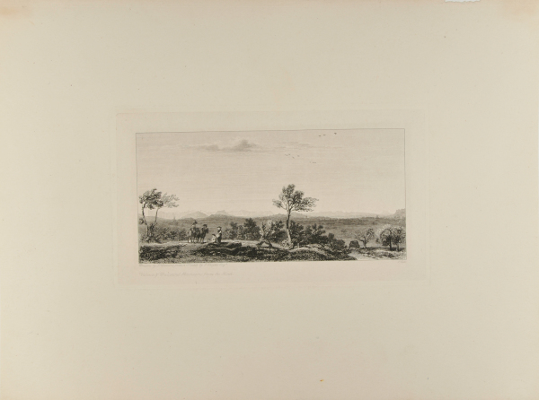 Valenoe and Dauphine Mountains from the North