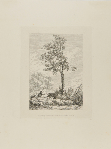 MAN WITH DOG, DRIVING A FLOCK OF SHEEP