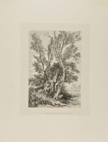 LANDSCAPE WITH GROUP OF TREES IN FOREGROUND, CATTLE GRAZING IN BACKGROUND