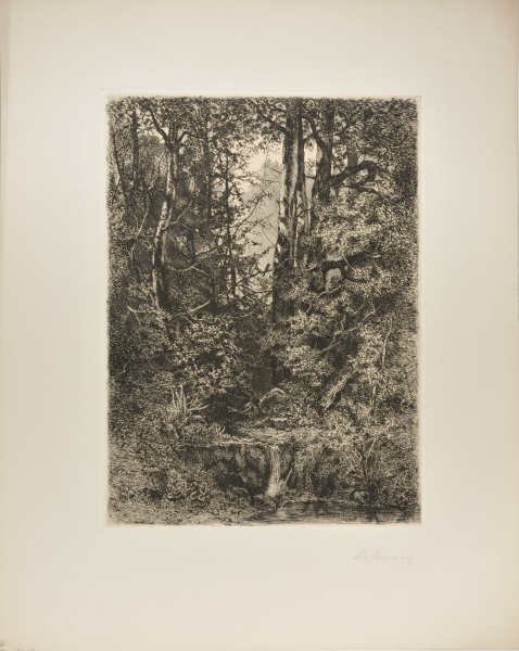 Forest Scene with Stream