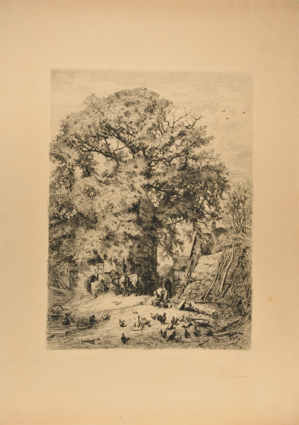 Barnyard with Large Tree
