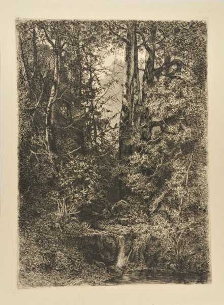 FOREST SCENE WITH STREAM
