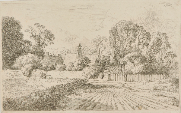 PATH THROUGH A CORNFIELD