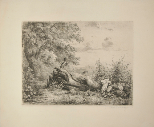 FALLEN TREE OVERGROWN WITH WEEDS