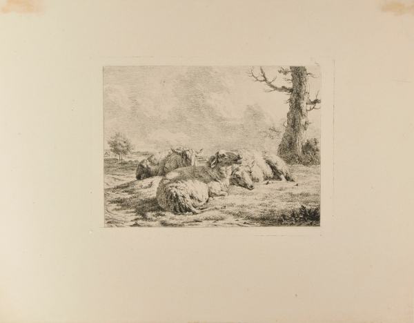 THREE RECLINING SHEEP