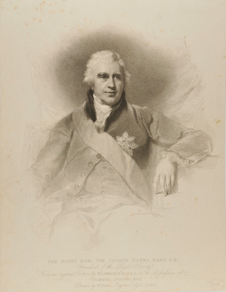 THE RIGHT HON. SIR JOSEPH BANKS, BART. K.B.