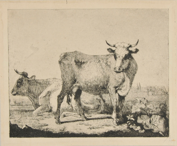 TWO COWS, ONE STANDING, ONE LYING DOWN