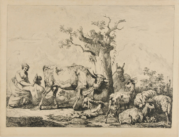 LANDSCAPE WITH CATTLE, COW RUBBING AGAINST A TREE