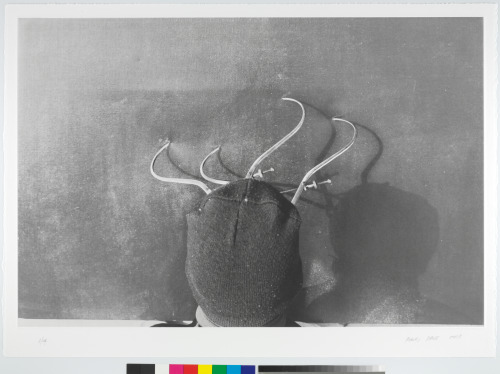 PAN'S OPTICON STUDIES, NO. 5