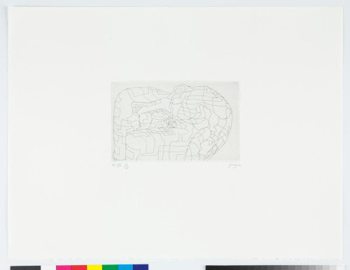 From the “Elephant Skull Album”