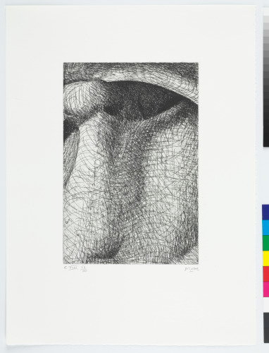 ELEPHANT SKULL, PLATE XVIII