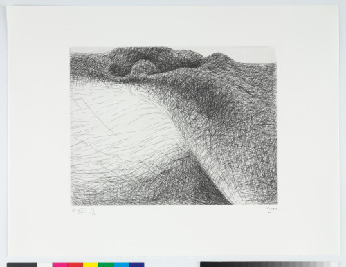 ELEPHANT SKULL, PLATE XXII