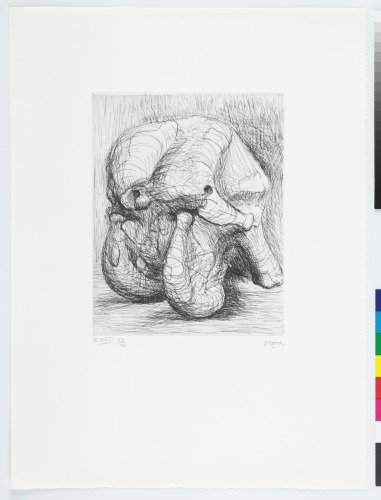 ELEPHANT SKULL, PLATE XXIII