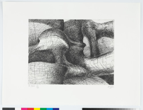 ELEPHANT SKULL, PLATE XXVI