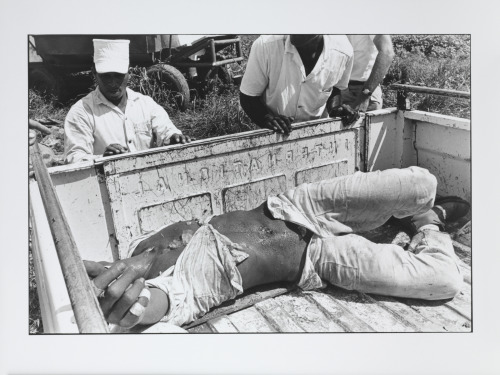 Conversations with the Dead