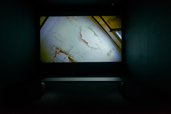 A MAN SCREAMING IS NOT A DANCING BEAR