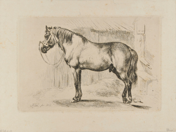 HORSE WITH BRIDLE, FACING LEFT