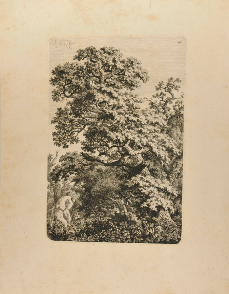 SATYR CARRYING A NYMPH UNDER AN OAK TREE INTO THE WOODS