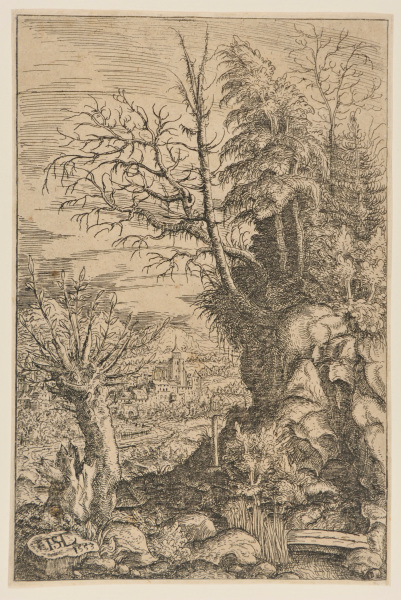 LANDSCAPE WITH A WILLOW
