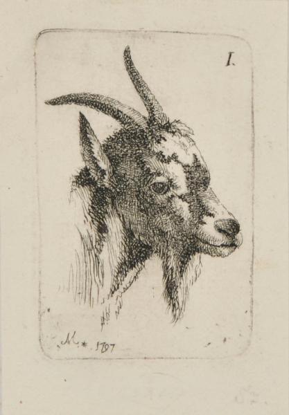 Head of a Goat