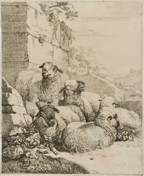 FOUR RESTING AND ONE STANDING SHEEP NEAR WALL