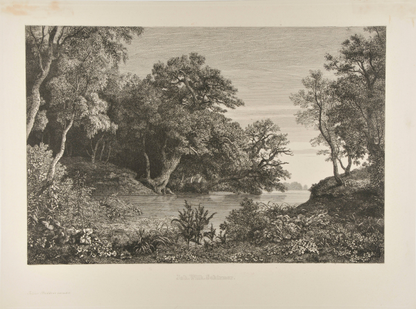 THE FOREST ON THE RIVER