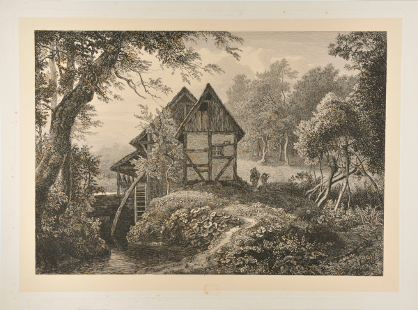 THE MILL BY THE WOODS