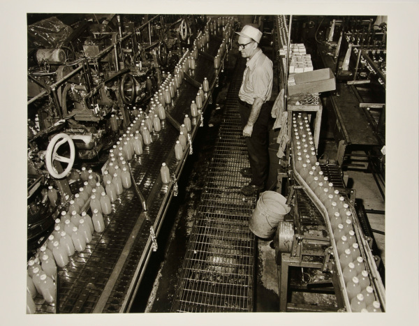 Stanley Running the Line at Showerings, Inc., Havre de Grace.
