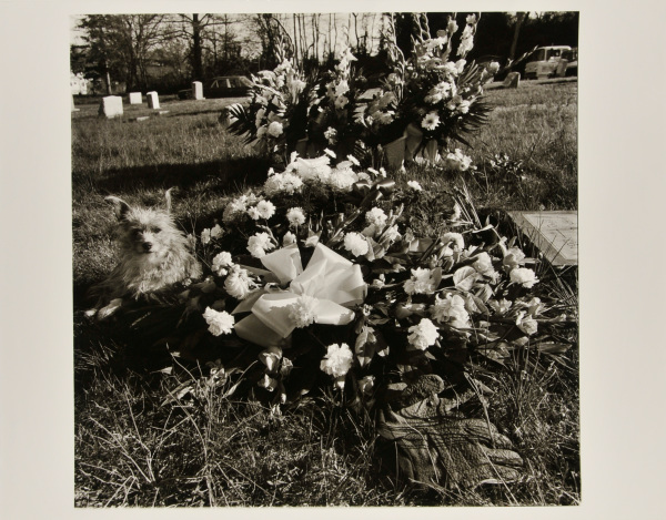 Angel Hill Cemetery, Havre de Grace.