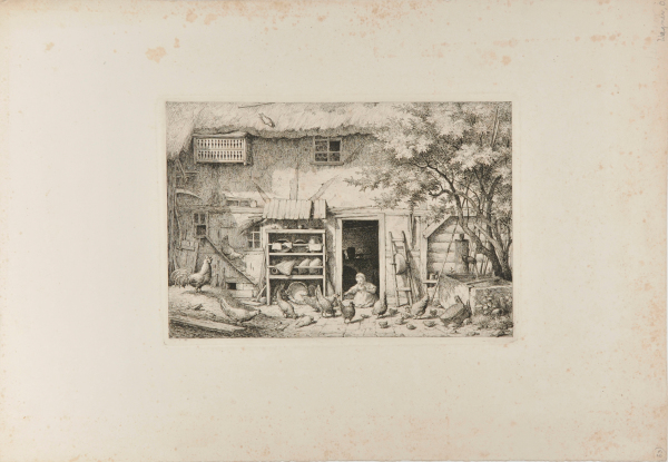 CHILD FEEDING CHICKENS