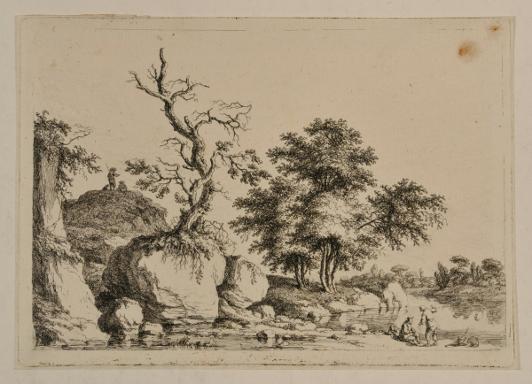 RIVER LANDSCAPE WITH WITHERED TREE ON A ROCK